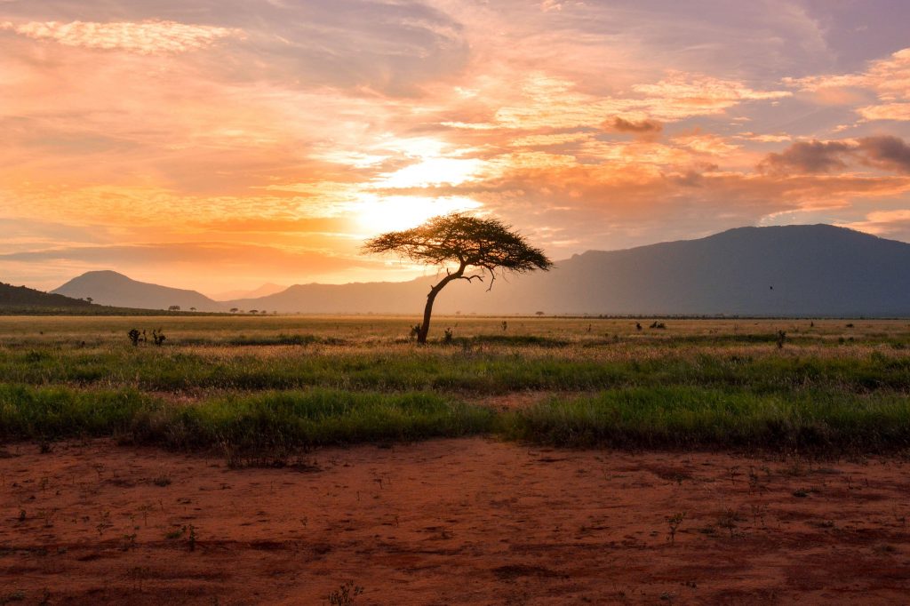 The Great Landscape in South Africa. Image: Damian Patkowski, Unsplash.