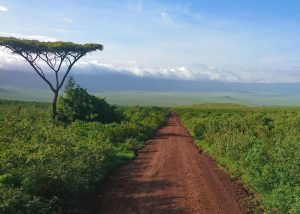Visit Tanzania: Safari and more. Image: Ben Preater, Unsplash.