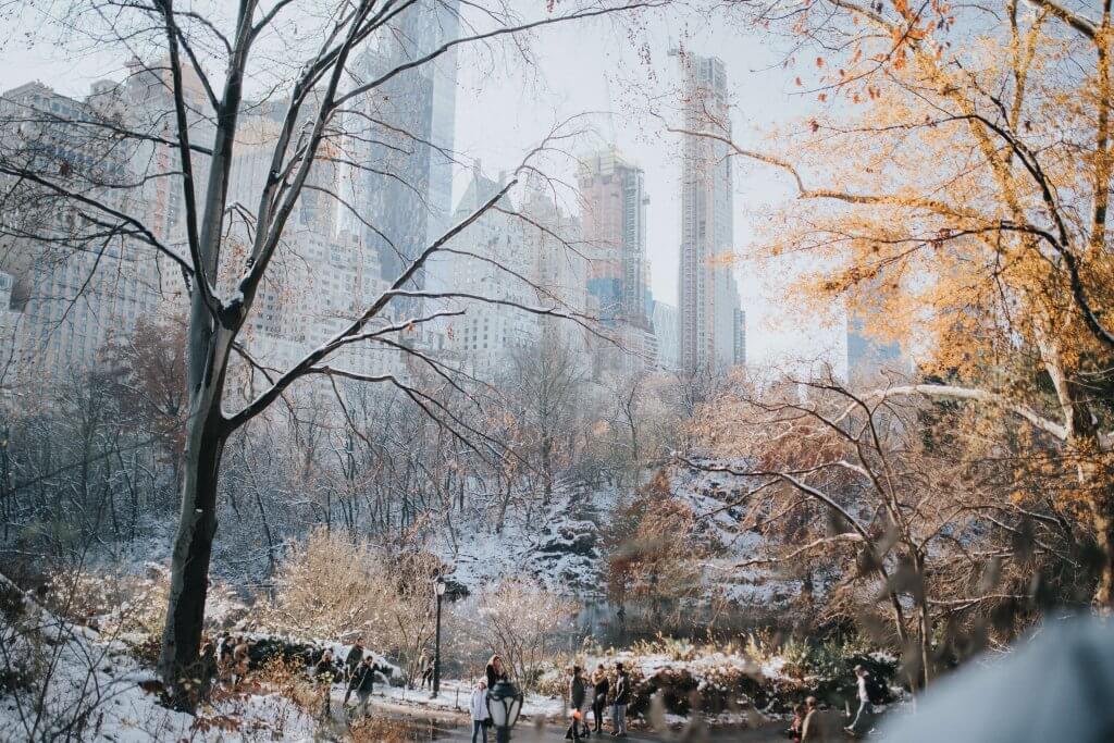 Central Park. Image: Caitlyn Wilson, Unsplash. 