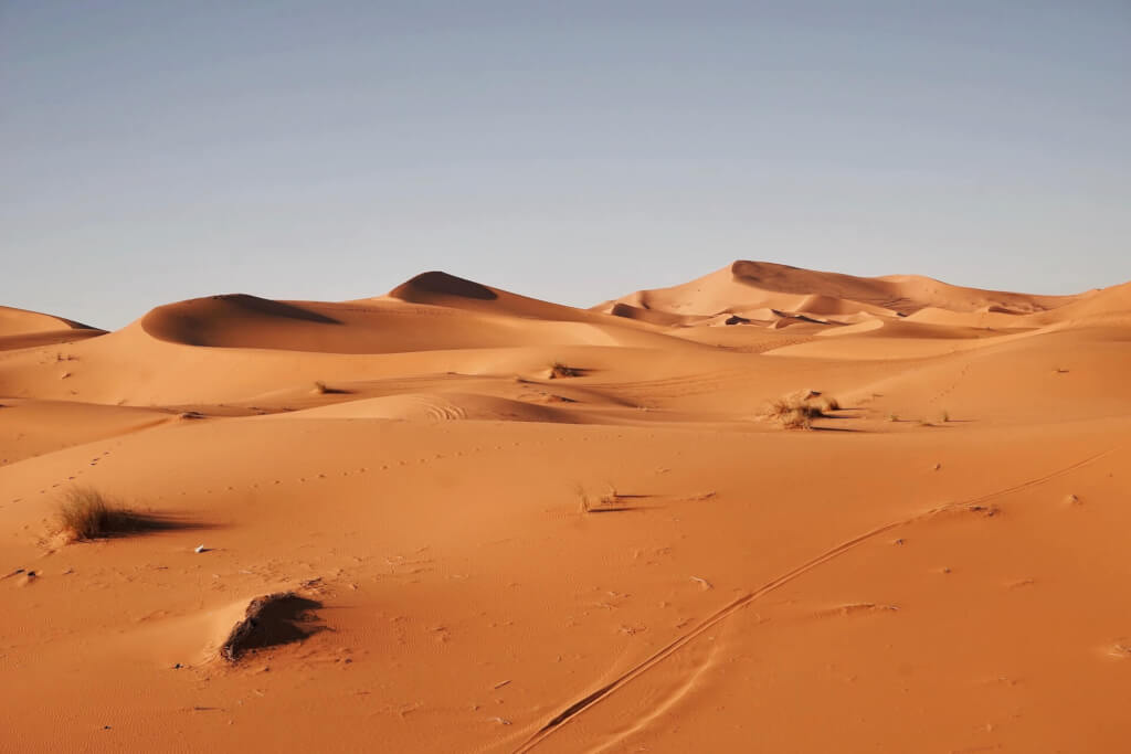Visit Sahara. Image: Andrzej Kryszpiniuk, Unsplash.