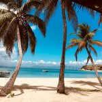 카리브해 최고의 해변을 발견하십시오. 이미지: 클라우디아 알타미미, Unsplash.