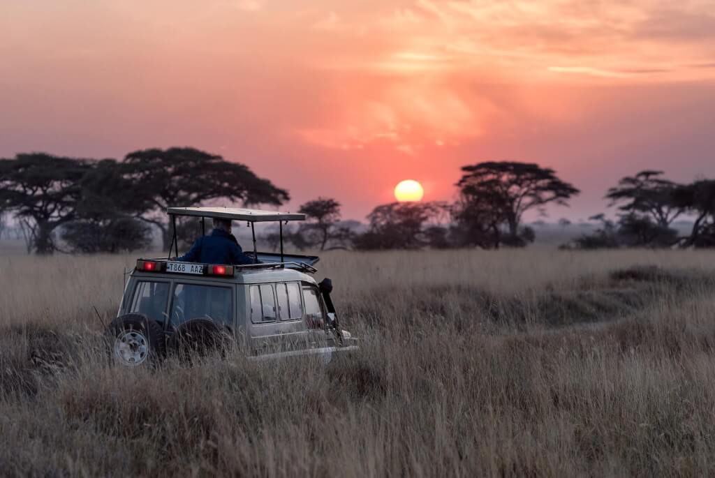 Discover Tops Safaris In Africa. Image: Hu Chen, Unsplash.